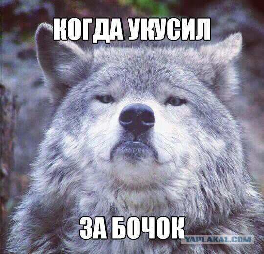 Подборка интересных и веселых картинок