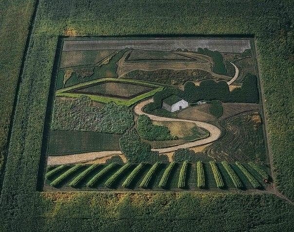 Картинки для отдыха глаз