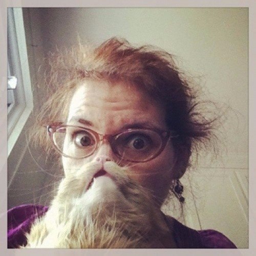 Коты из сети
