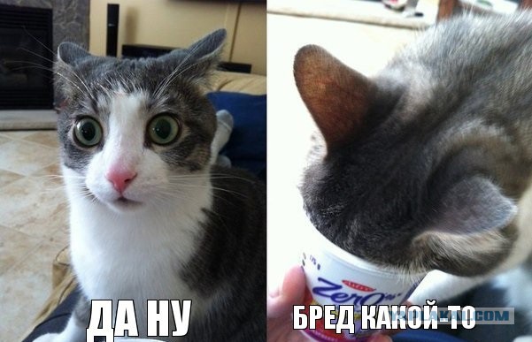 Ватикан готовит Раскрытие информации об инопланетянах