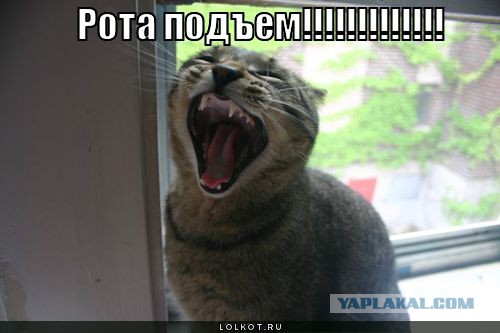 Инвалиду 47-ми лет нужна жена.