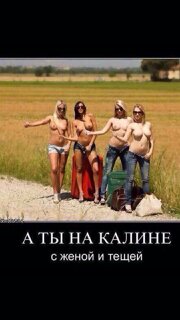 Подборка интересных и веселых картинок