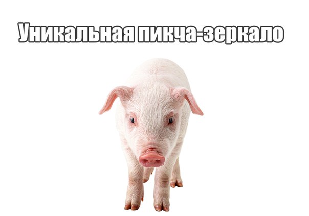 Веселье тёмной стороны