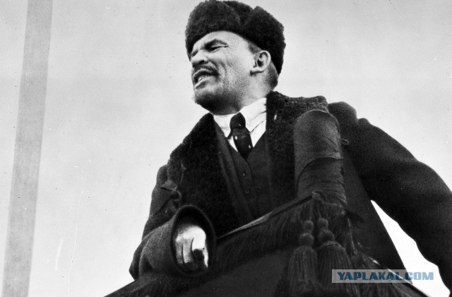 Калининградский вуз отчислил организатора митинга Навального