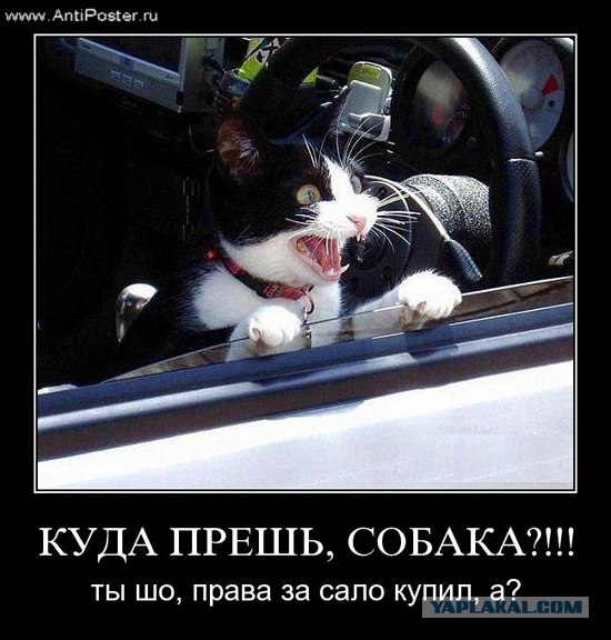 Ситроен генерала vs "скорая"