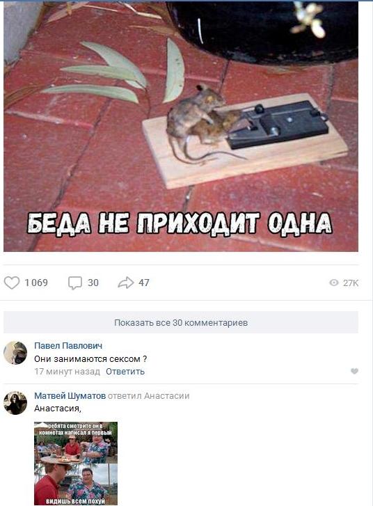 Смешные комментарии из соц.сетей