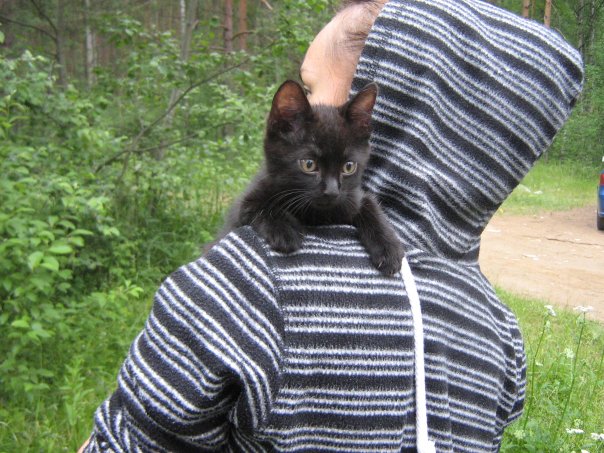 Немного милоты