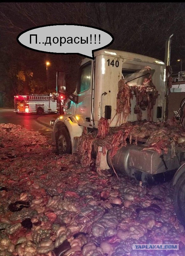 Чернушки вот вам принёс