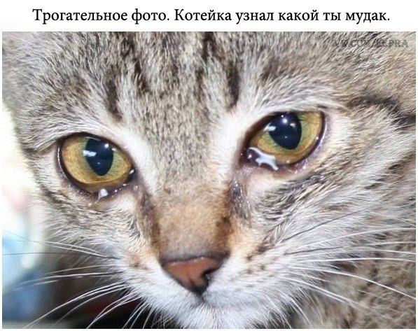 Чёрная масленица на подходе...