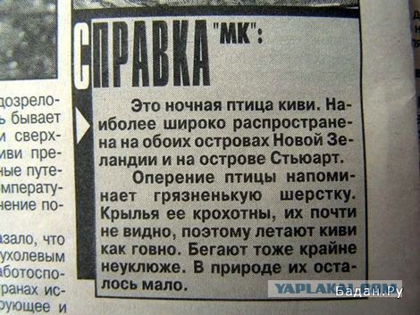 Давайте чуточку развеемся. Оффтоп