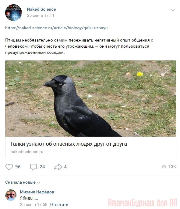 Комментарии к постам в разных группах, которые вызвали улыбку