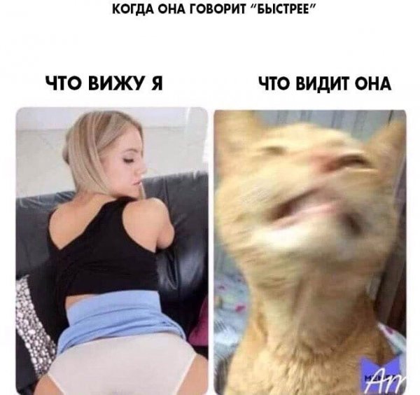 Немного картинок для настроения 16.01.20