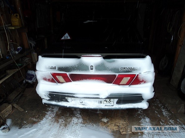 Остановился по нужде, вышел, а тут... хвать