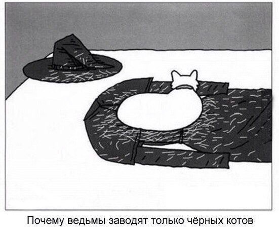 Немного картинок для настроения 11.02.20