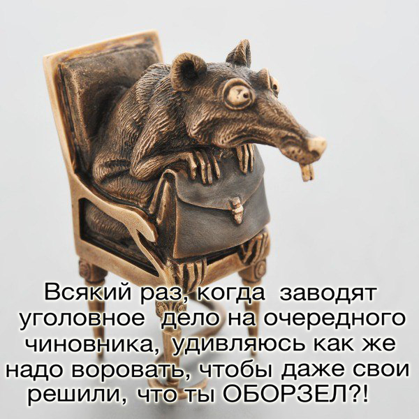 Тихо, идёт отбор