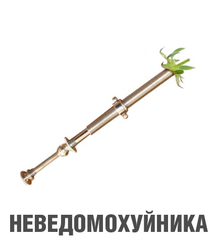 Фотожаба: Лето, фрукты, генетика!