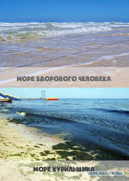 Ну, кто ещё отдохнуть на родине планирует?