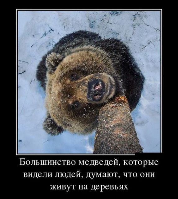 Подборках древних демотиваторов. Ч. 1