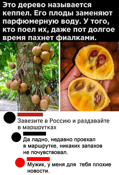 Картинки всякие 06.12.20