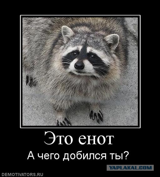 Вопрос Владимиру Владимировичу! (Пашкетт)