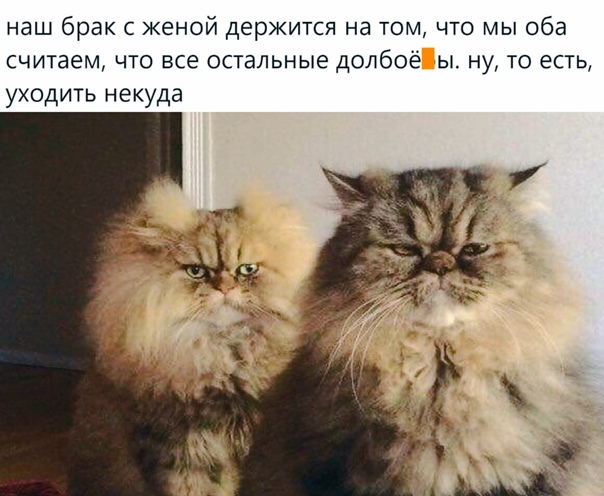 Алкопост 19.12.20