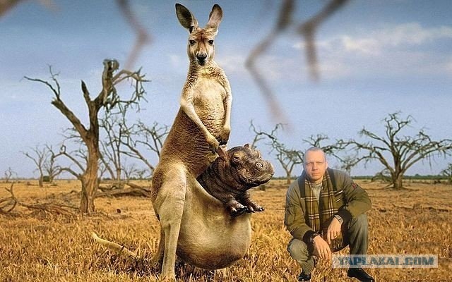 Боги фотошопа