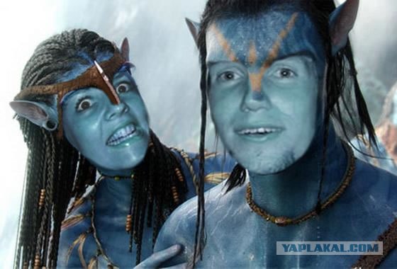 Вытянулась: картинка и 2 жабы