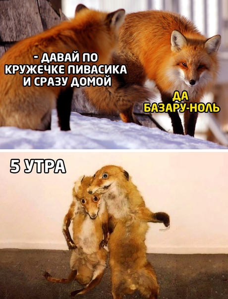 Картинки с надписями и всякие жизненные фразы