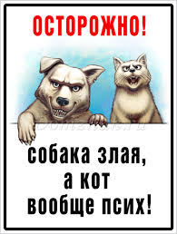 "Да что эта рыжая себе позволяет.."