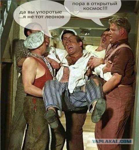 Чернушка на выходные...