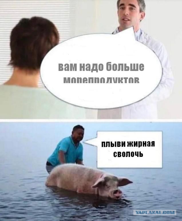 Картинки без комментов 26.11.2021