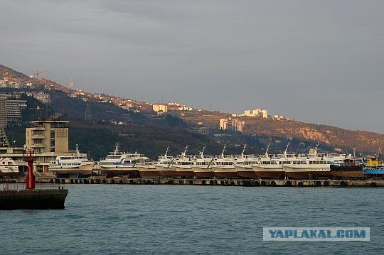 Весна в Ялте (28 фото)