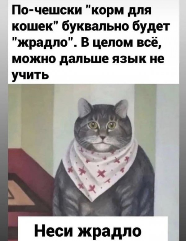 Прикольные и просто красивые картинки 28.03.2022