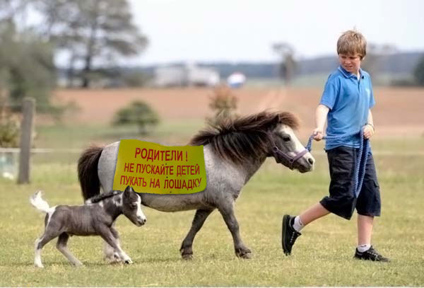Ув. Родители )