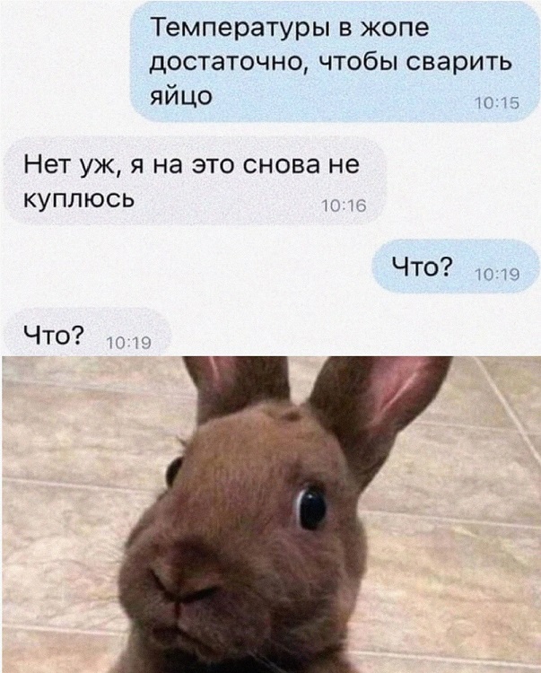 40 картинок разных 01.06.22