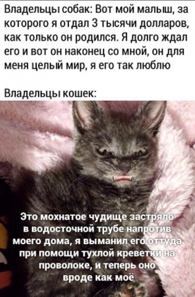 Так себе картинки 06.07.22