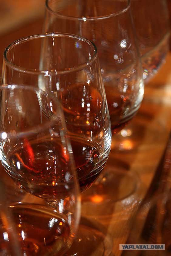 Южный берег Крыма