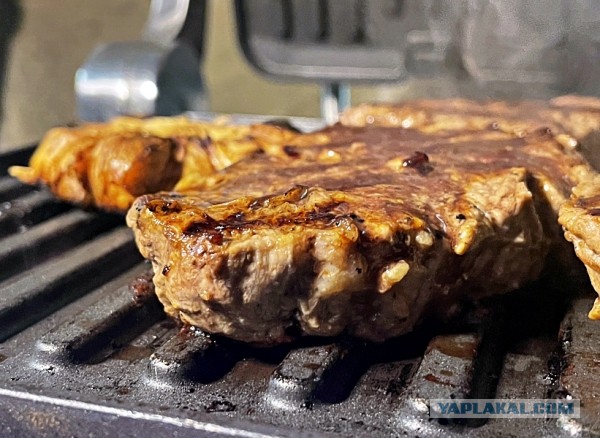 Электрогриль. Мясо. Купаты, и … вообще.  Предлагаю устроить обмен опытом и технологиями.