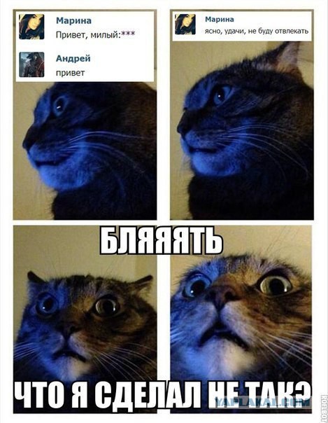 Так себе картинки 07.11.22