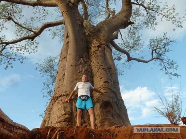 AFRICA - (Эфиопия,Кения,Танзация) 4-16 ноября 2011