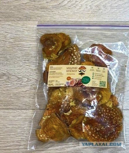 Депутат из Красноярского края отравился мухоморами в Москве.