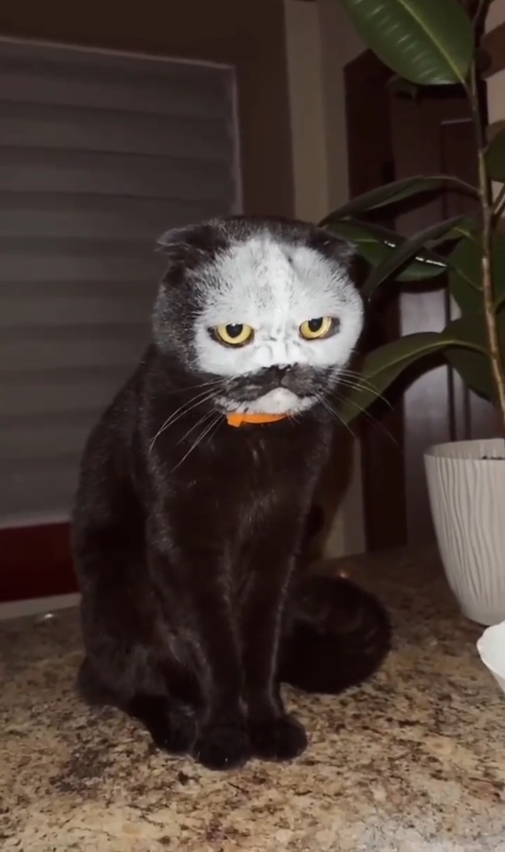 Клянусь, енто не я