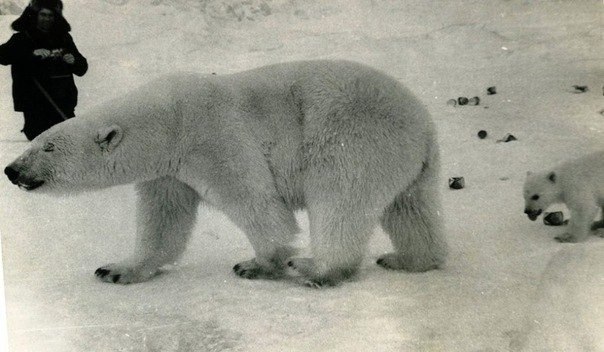 Человек с фотографии⁠⁠