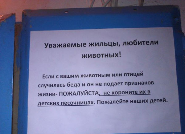 Свеженькие бояны