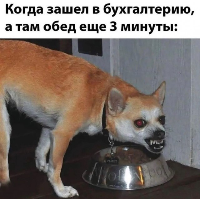 Бухгалтерша заманивает на корпоратив