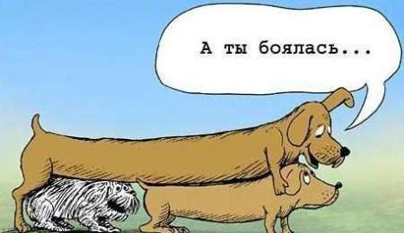 Шойгу, Герасимов, где баяны?