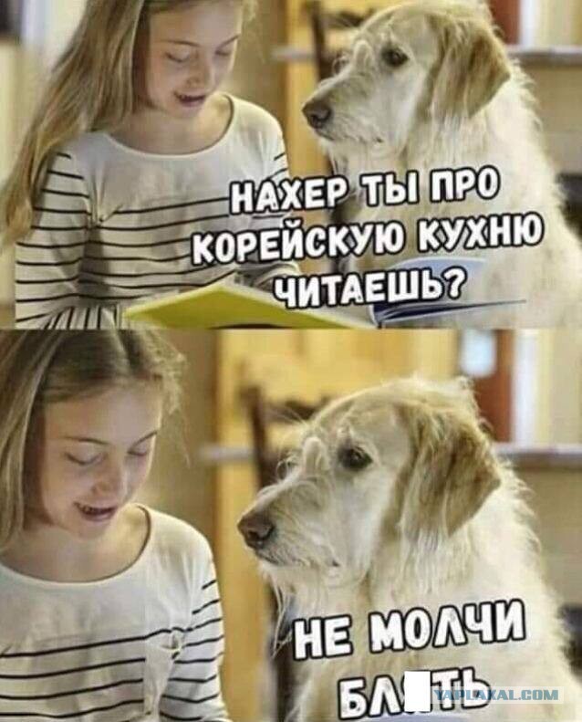 ТРРРидцать тРРРи от 3 мая