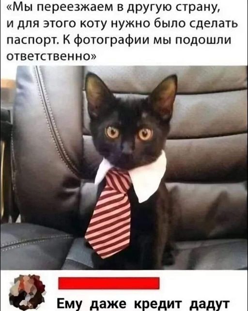 Так себе картинки 07.08.24