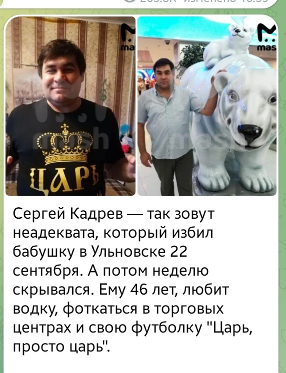 Задержан изверг, избивший бабушку, которая торговала цветами возле магазина в Ульяновске.