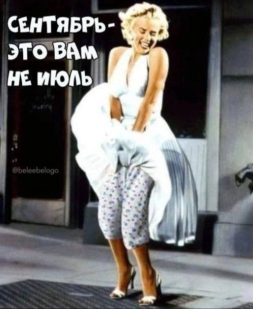 Всего понемногу. От 30.09.24